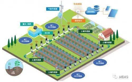 电装传感技术跨界赋能 构建可持续发展的食品价值链